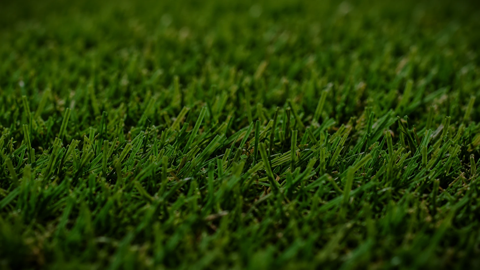 Warranty Background