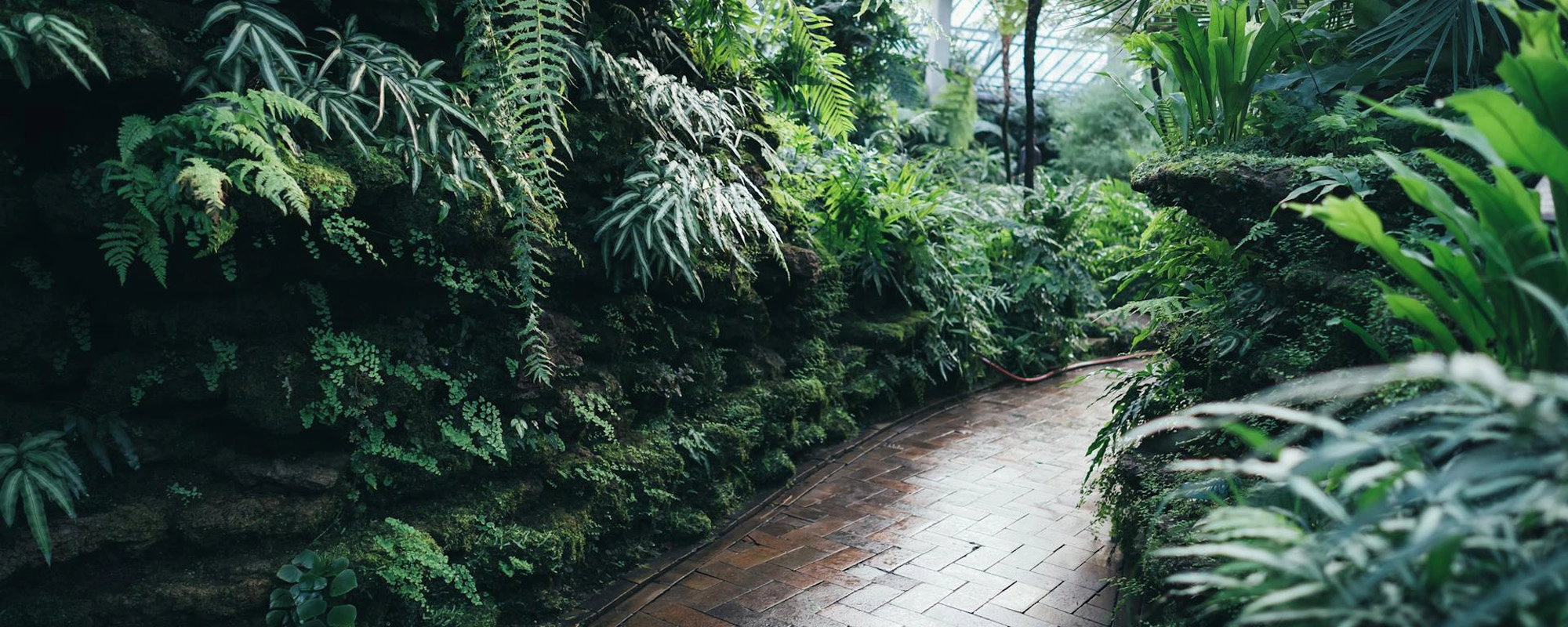 Garden Landscape